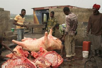 Le Nigeria ferme des abattoirs illégaux et insalubres