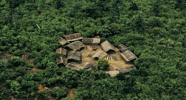 Côte d’Ivoire/Déguerpissement imminent des occupants des forêts classées du Tchologo (SODEFOR)