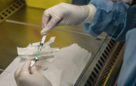 Canada : un vaccin prometteur contre le SIDA passe pour la première fois les premiers tests