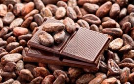 Le Ghana a perdu 1 milliard de dollars dans la vente du cacao