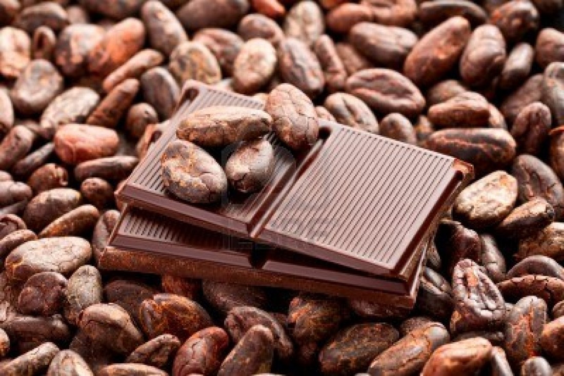 Chute continue du prix du cacao au Cameroun