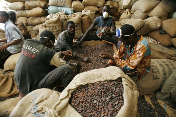 Côte d’Ivoire : Le Conseil Café-Cacao veut freiner la fuite du cacao vers le Ghana