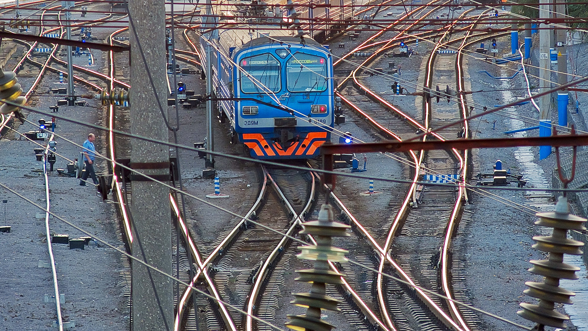 Entre musique live et lapins qui courent: 5 expériences uniques dans les trains de banlieue russes