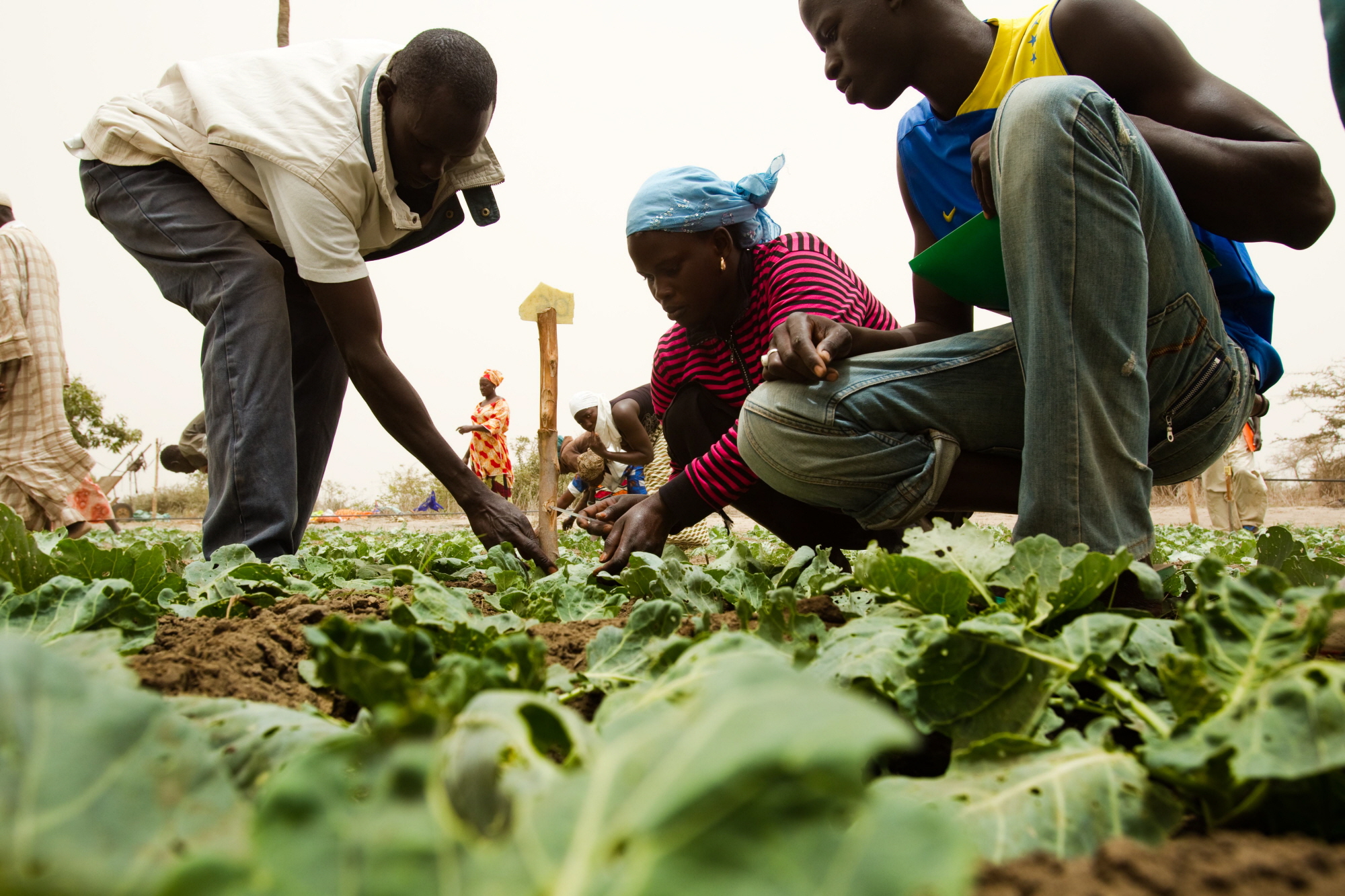 Le Bénin priorise 49 cibles pour la réalisation des objectifs de développement durable