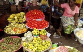 Commerce illicite : Le Sénégal veut des solutions « efficaces et adaptées » dans la zone CEDEAO