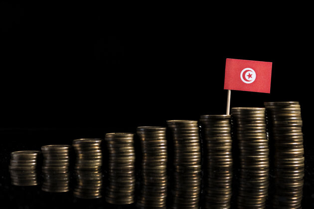 Quelle stratégie économique pour la période 2020-2024 en Tunisie? Les propositions du Conseil d’Analyses Économiques