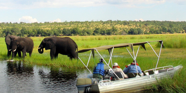 La Fondation Wyss injecte 66 millions de dollars pour la protection de la faune en Afrique