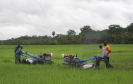 Nouvelle impulsion dans le partenariat entre la BAD et la FAO en faveur du secteur agricole en Afrique