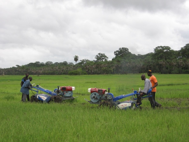 Nouvelle impulsion dans le partenariat entre la BAD et la FAO en faveur du secteur agricole en Afrique