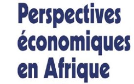 Économie africaine en 2019 : leurres et lueurs d’espoir