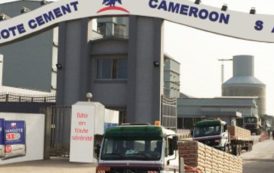 Cameroun: Dangote estime le marché total du Ciment à 2,3millions