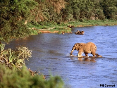 Côte d’Ivoire : Le parc national de la Comoé candidat à l’inscription sur la liste verte de l’UICN