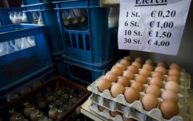 Près de 700.000 oeufs contaminés importés au Royaume-Uni