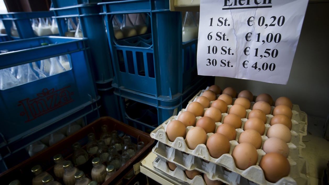 Près de 700.000 oeufs contaminés importés au Royaume-Uni