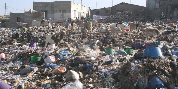 Fedorah Bikay veut sensibiliser les jeunes Congolais aux questions environnementales