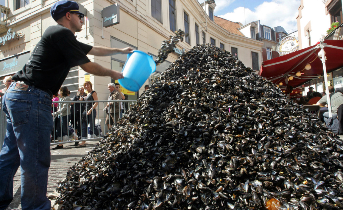 Cette start-up lilloise va transformer des coquilles de moules en carrelage