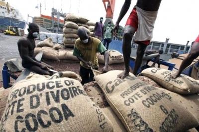 Côte d’Ivoire-commercialisation du cacao: une amélioration substantielle des exportations au niveau des ports de 33%, selon le gouvernement