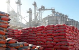 Agroalimentaire : privé de riz, le sénégalais Vital tire le signal d’alarme
