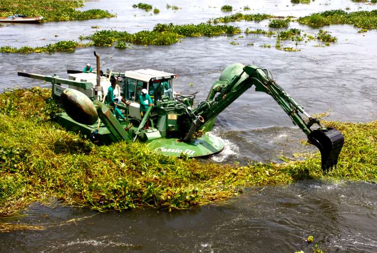 Au Bénin, une start-up transforme la jacinthe d’eau en fibre dépolluante