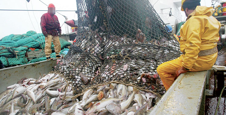 Maroc : Chambre des pêches maritimes Atlantique-Centre : Jawad Elhilali plébiscité