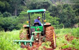 Innovation : les startups israéliennes à la rescousse de l’agriculture africaine