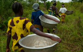 Le Bénin envisage des opérations du recensement national dans le secteur de l’agriculture