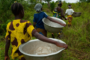 Production de café: Des milliers de tonnes bloquées au port d’Abidjan