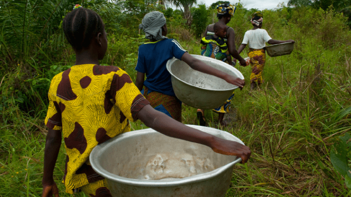 Le Bénin envisage des opérations du recensement national dans le secteur de l’agriculture