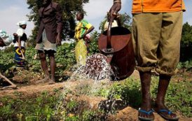 Financement de l’agriculture au Burkina: Un réseau encourage la mise en place de la banque agricole