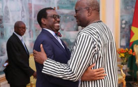 BAD: Quatre secteurs clés au menu des échanges du Dr Akinwumi Adesina