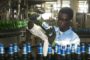 Start-up de la semaine : des capsules ivoiriennes de café pour concurrencer Nespresso