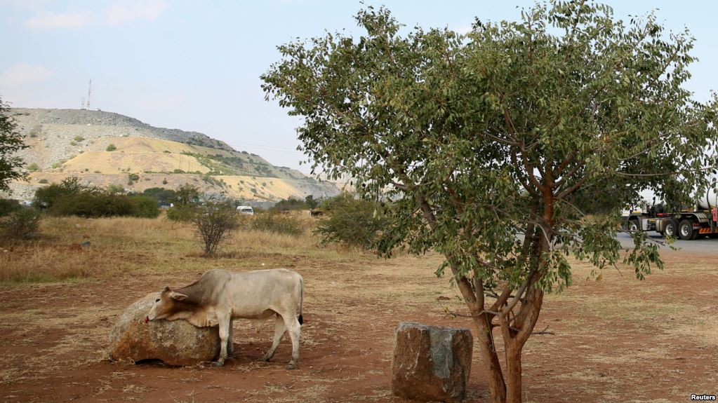 Suspension partielle des importations de viandes produites en Afrique du Sud