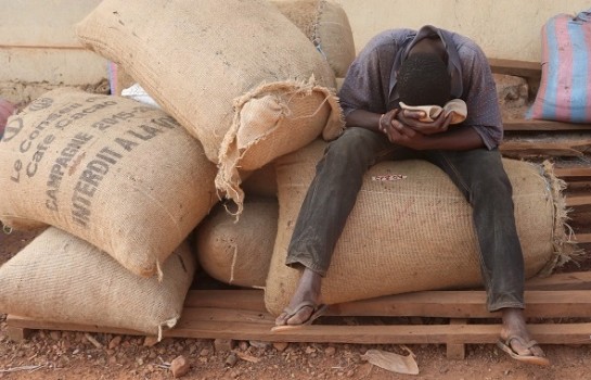 Côte d’Ivoire : Détournement du fonds de stabilisation du cacao, le RPCI-AC exige le remboursement