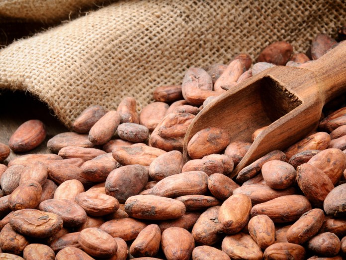 Cacao : la BAD va examiner la demande de financement de la Côte d’Ivoire et du Ghana