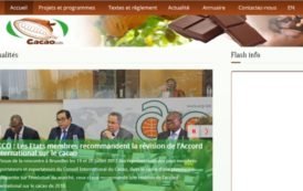 Cameroun: Cacao Info nominé à la World summit award