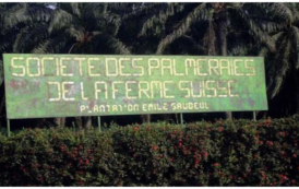 Cameroun / Le résultat net de la Société des palmeraies de la ferme suisse a subi «un recul important» au 1er trimestre 2016