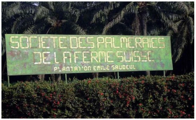 Cameroun / Le résultat net de la Société des palmeraies de la ferme suisse a subi «un recul important» au 1er trimestre 2016