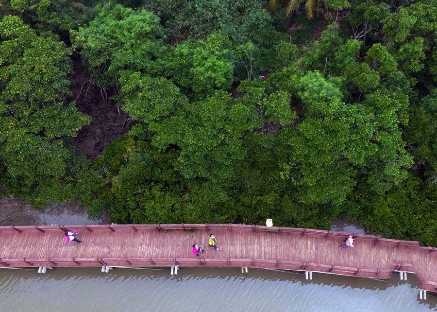 Le Bénin veut élaborer une stratégie nationale de gestion durable des mangroves