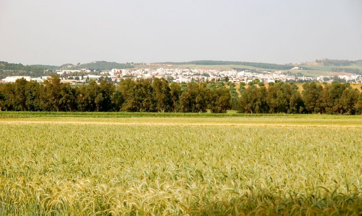 Tunisie : l’acquisition des terres agricoles restera interdite aux étrangers