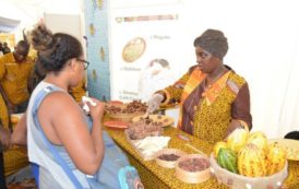 Côte d’Ivoire : Sikensi: Le Conseil café-cacao apporte son soutien aux producteurs sinistrés