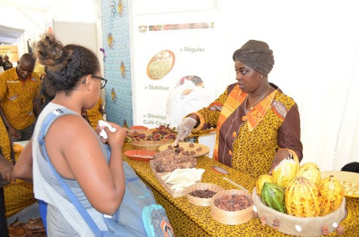 Côte d’Ivoire : Sikensi: Le Conseil café-cacao apporte son soutien aux producteurs sinistrés