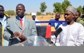 Tchad : La FAO équipe les chameliers pour une meilleure production