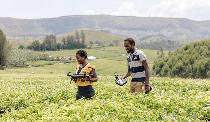 L’économie agricole passe aussi par les TIC