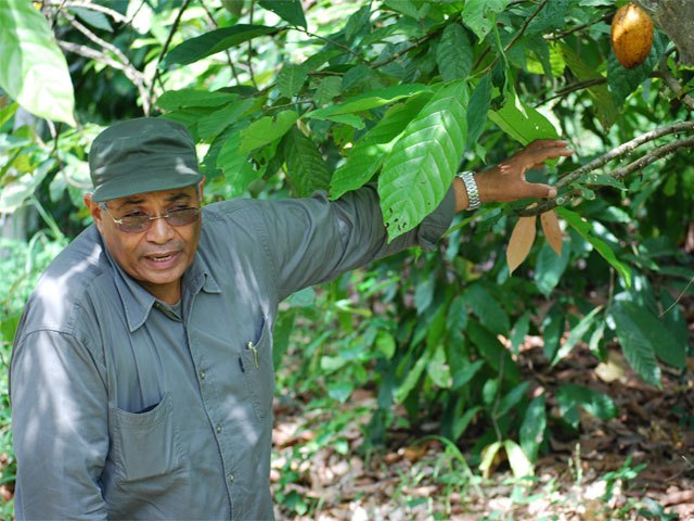 Un producteur de café-cacao plaide pour l’augmentation de l’enveloppe consacrée à l’entretien routier en Côte d’Ivoire