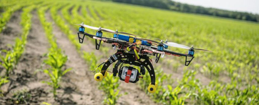 La BAD va procéder au lancement d’un projet pilote d’utilisation de drones dans le secteur agricole en Tunisie