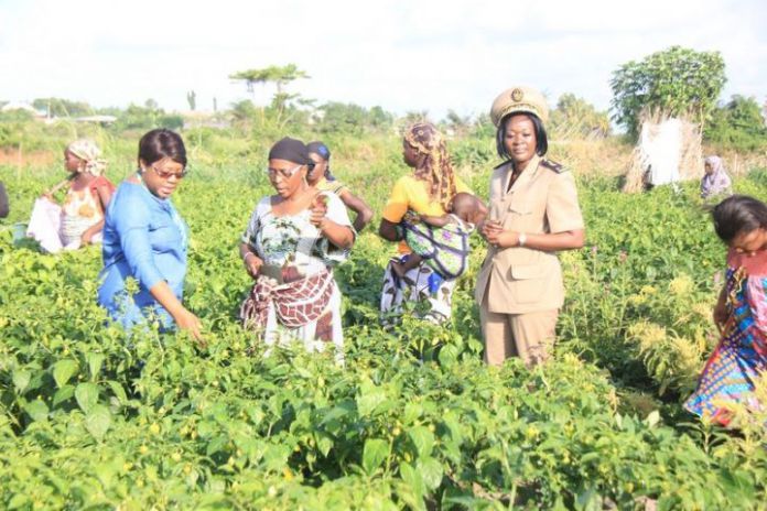 Côte d’Ivoire : JIF 2018: Des femmes rurales plaident pour la mécanisation de leurs activités agricoles à Dimbokro