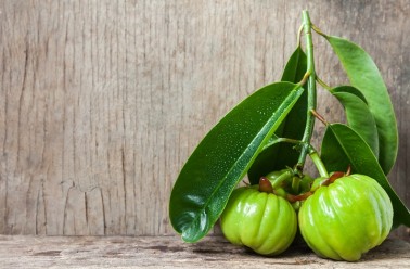 Garcinia cambogia : comme brûleur de graisse ?