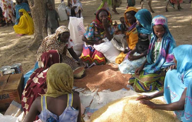 Tchad : création d’une Chambre de l’entrepreneuriat féminin