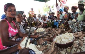 Cote d’Ivoire: Coopération Agricole/ Yamoussoukro : l’AGRA et la BAD visitent des projets de production de tomate, tissage de pagne et transformation de manioc