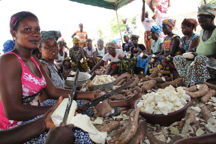 Cote d’Ivoire: Coopération Agricole/ Yamoussoukro : l’AGRA et la BAD visitent des projets de production de tomate, tissage de pagne et transformation de manioc